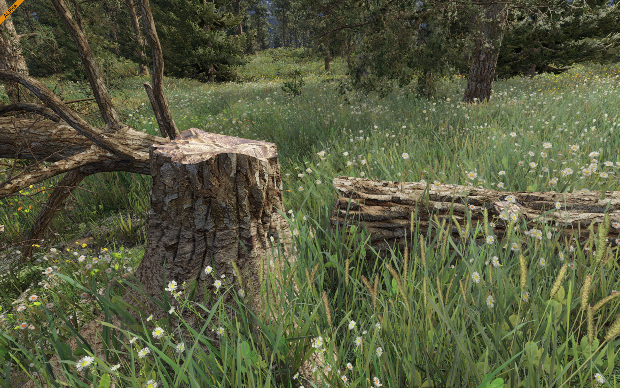 c59b948e4e1df3768061d11f621a8640