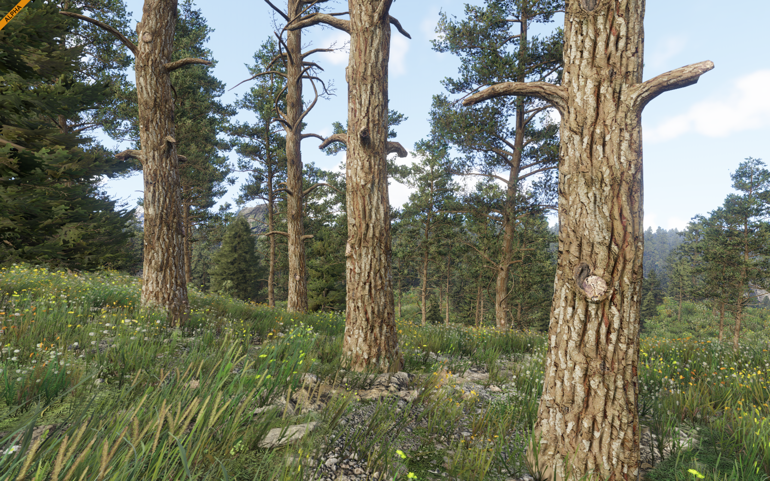 cb9018d0415a948440ee4ac5a06618fe